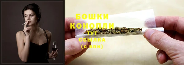 PSILOCYBIN Белоозёрский