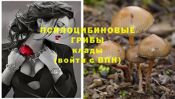 кокс Белокуриха