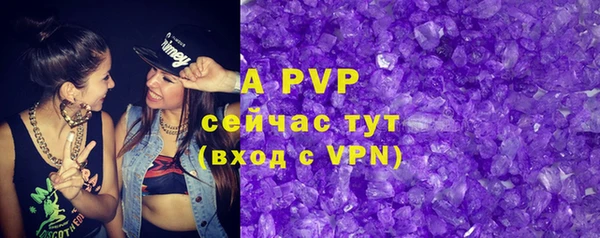 PSILOCYBIN Белоозёрский