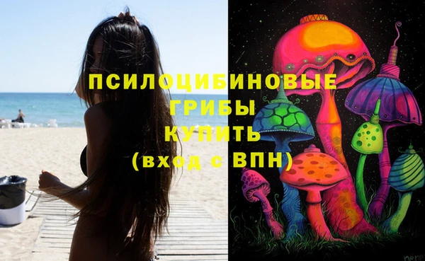 PSILOCYBIN Белоозёрский