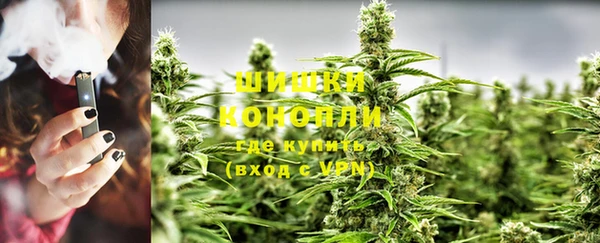 PSILOCYBIN Белоозёрский