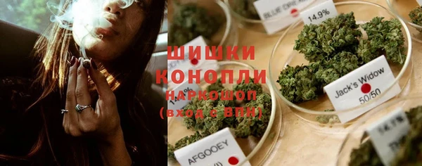 PSILOCYBIN Белоозёрский