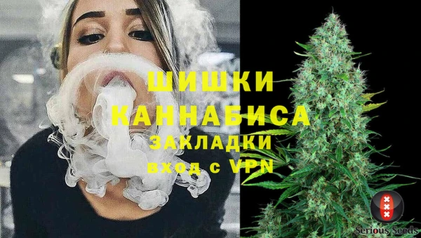 кокс Белокуриха